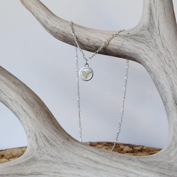 Handmade Coyote Tooth Pendant on 18" Silver Tone Chain - Picture 2 of 3